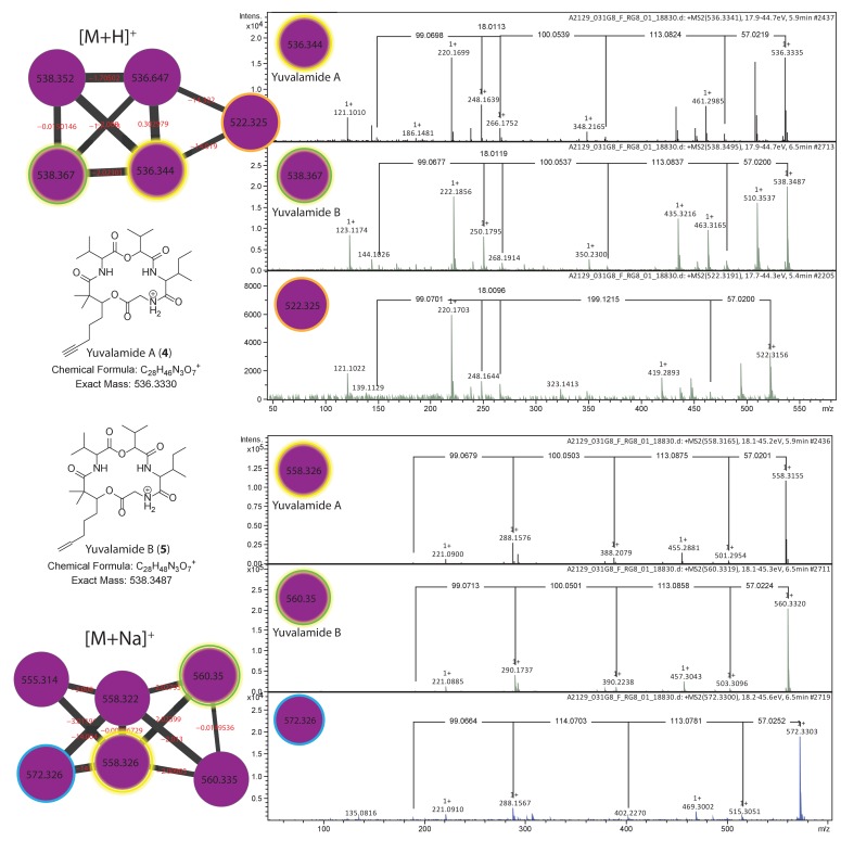 Figure 5—figure supplement 3.