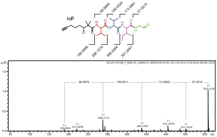 Figure 5—figure supplement 2.