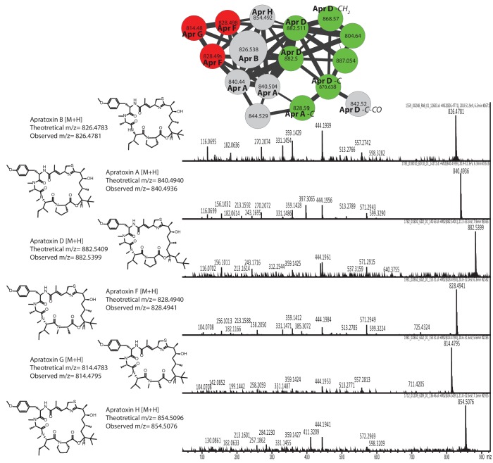 Figure 3—figure supplement 2.