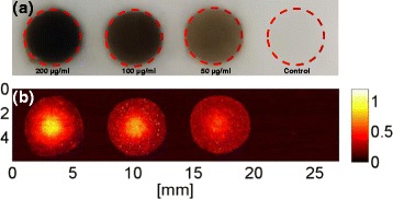 Fig. 12