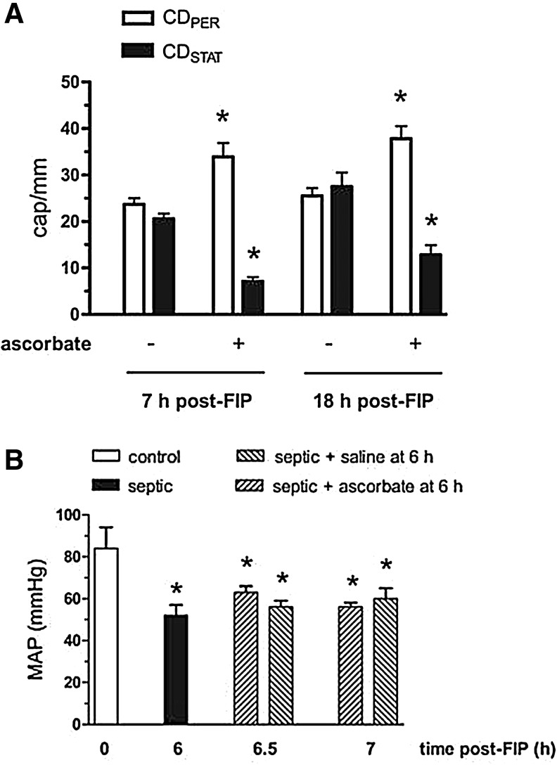 FIG. 7.