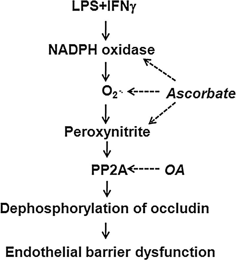 FIG. 4.