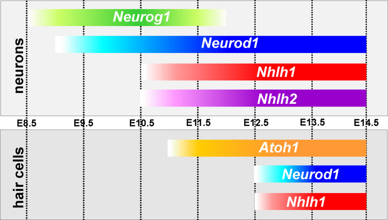 Fig. 4