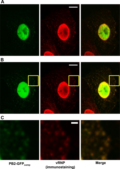 Fig 2