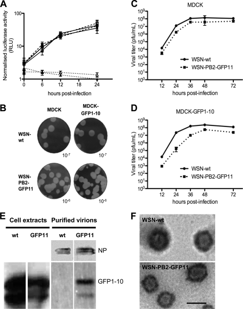 Fig 4