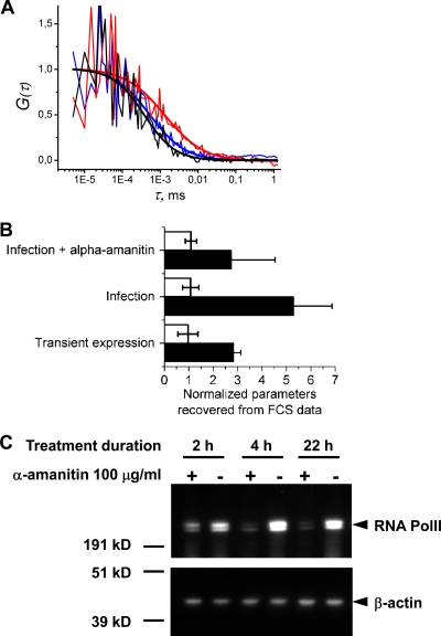 Fig 10