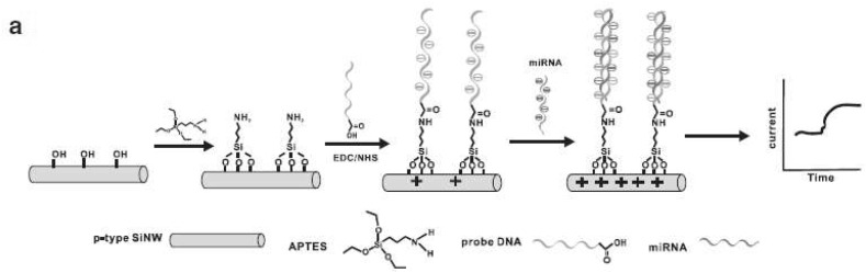 Fig. 6