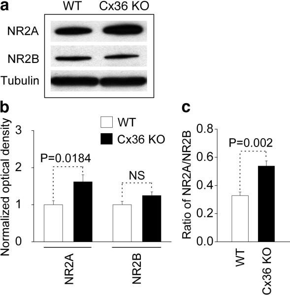 Fig.2