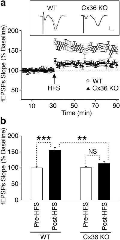 Fig.1