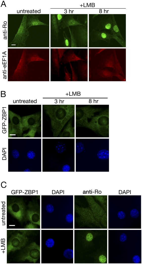 FIGURE 4.