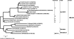 FIG 1
