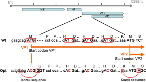 FIG. 1.