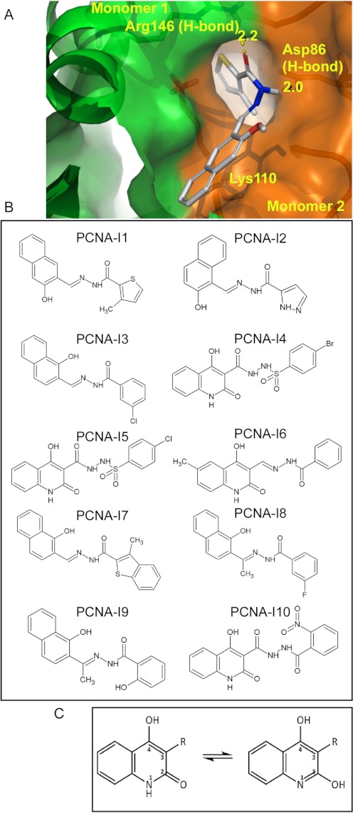 Fig. 1.