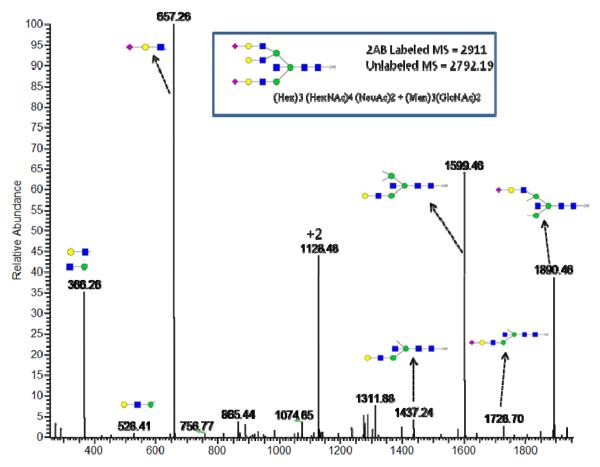 Fig. 6