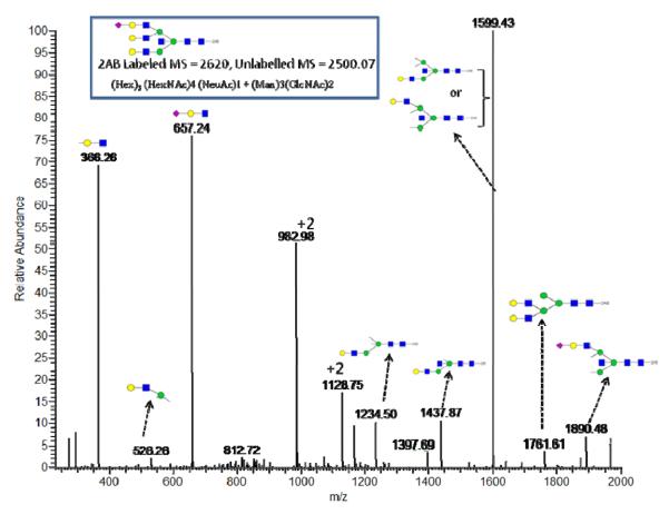 Fig. 6