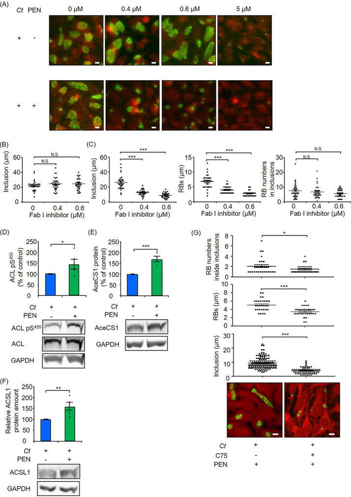 FIG 4