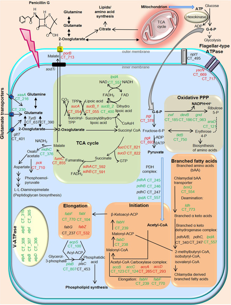 FIG 3