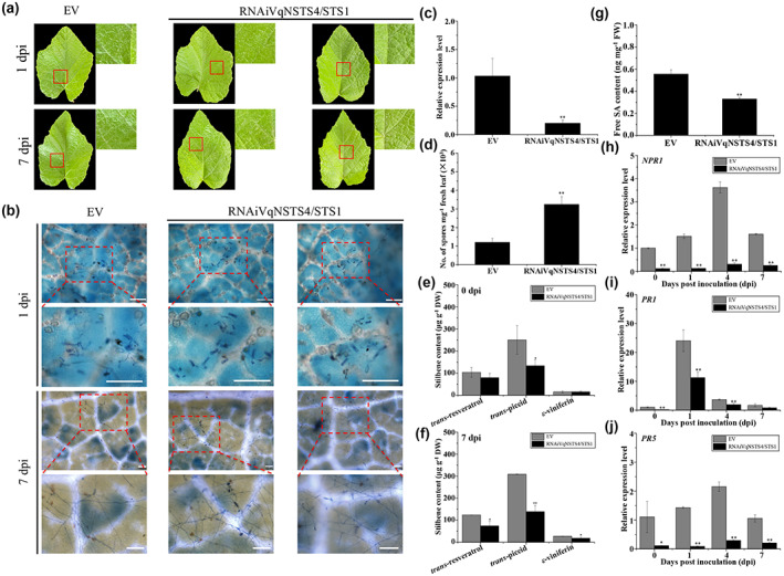 FIGURE 3