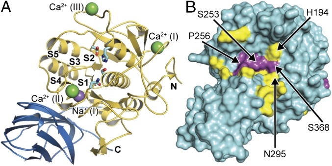 Fig. 1.