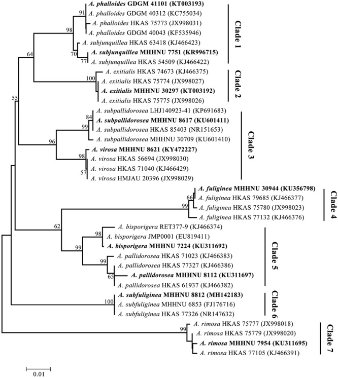 FIGURE 4