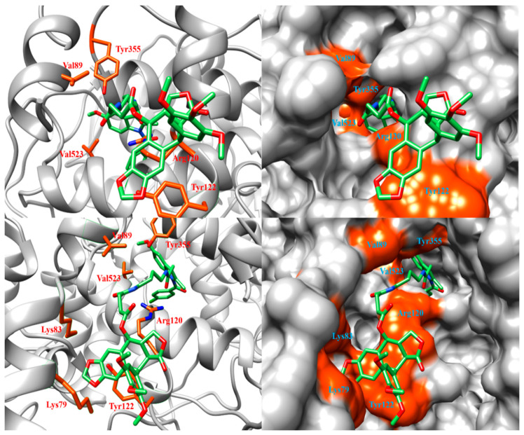 Figure 4