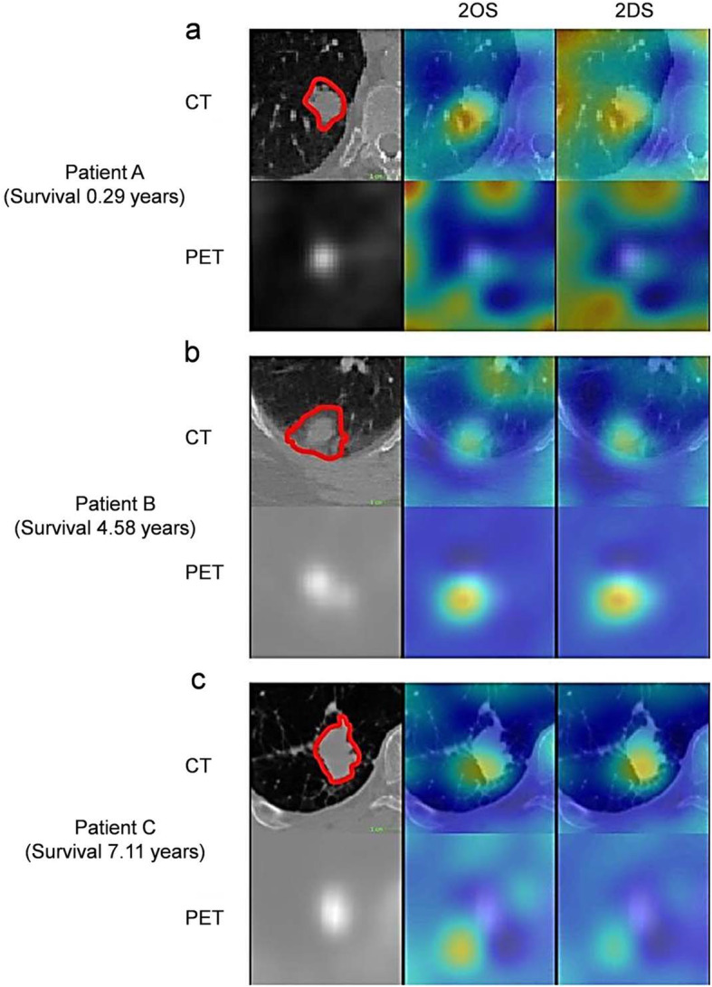 Fig. 6