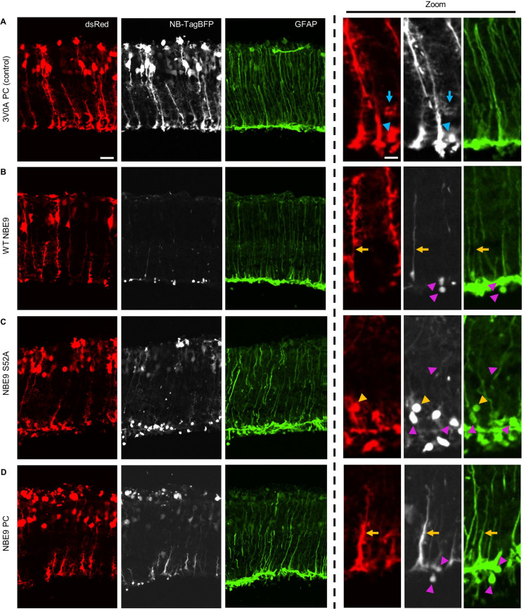 Figure 10.