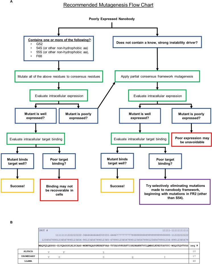 Figure 3—figure supplement 1.