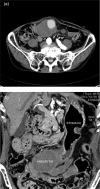 Figure 2: