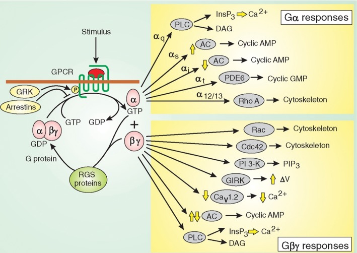 Figure 12.