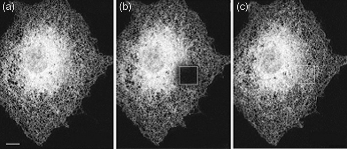 Figure 3.