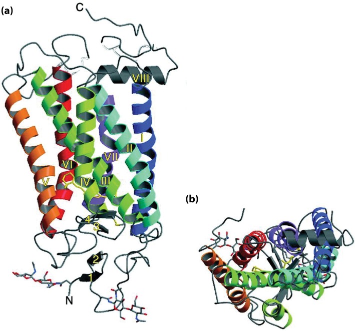 Figure 13.