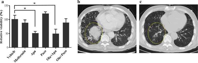 Fig. 6