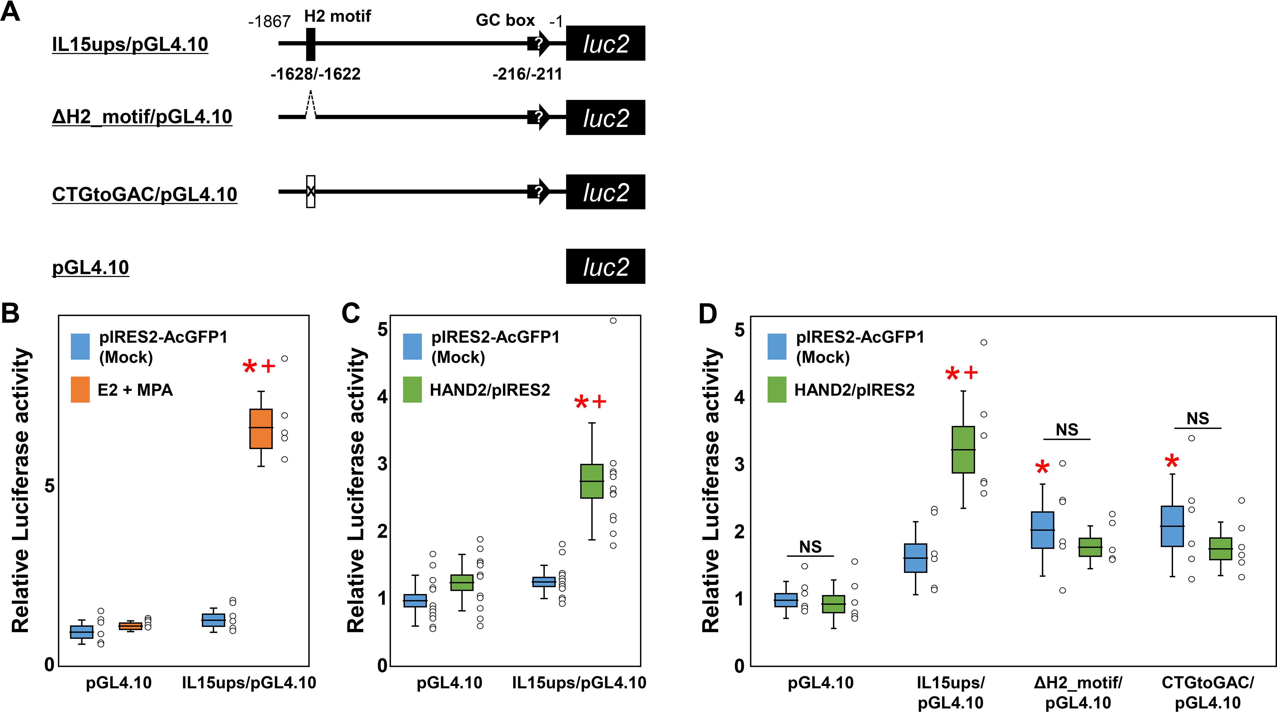 Figure 4.