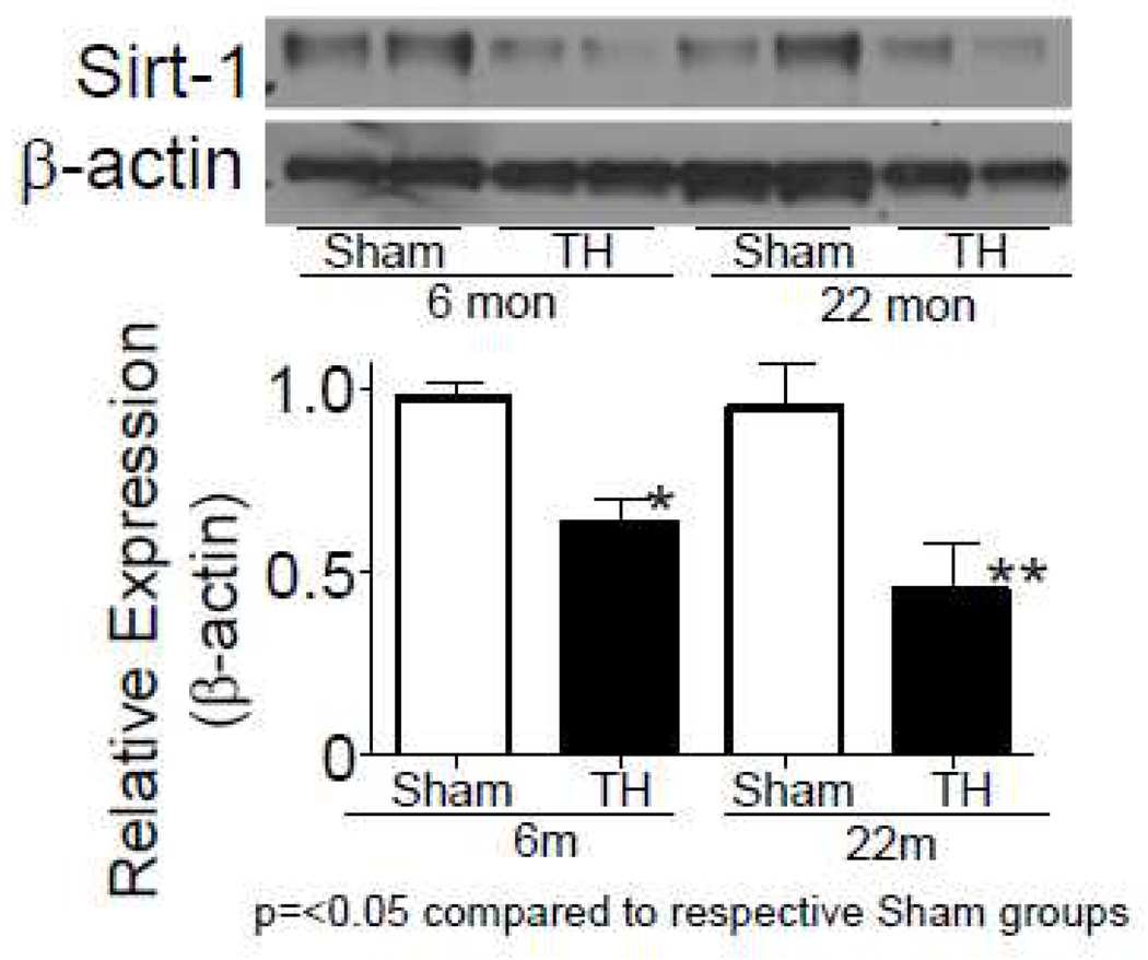 Fig.4