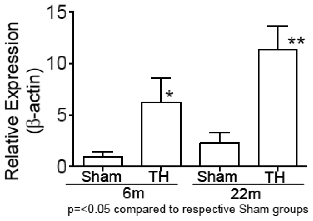 Fig.3