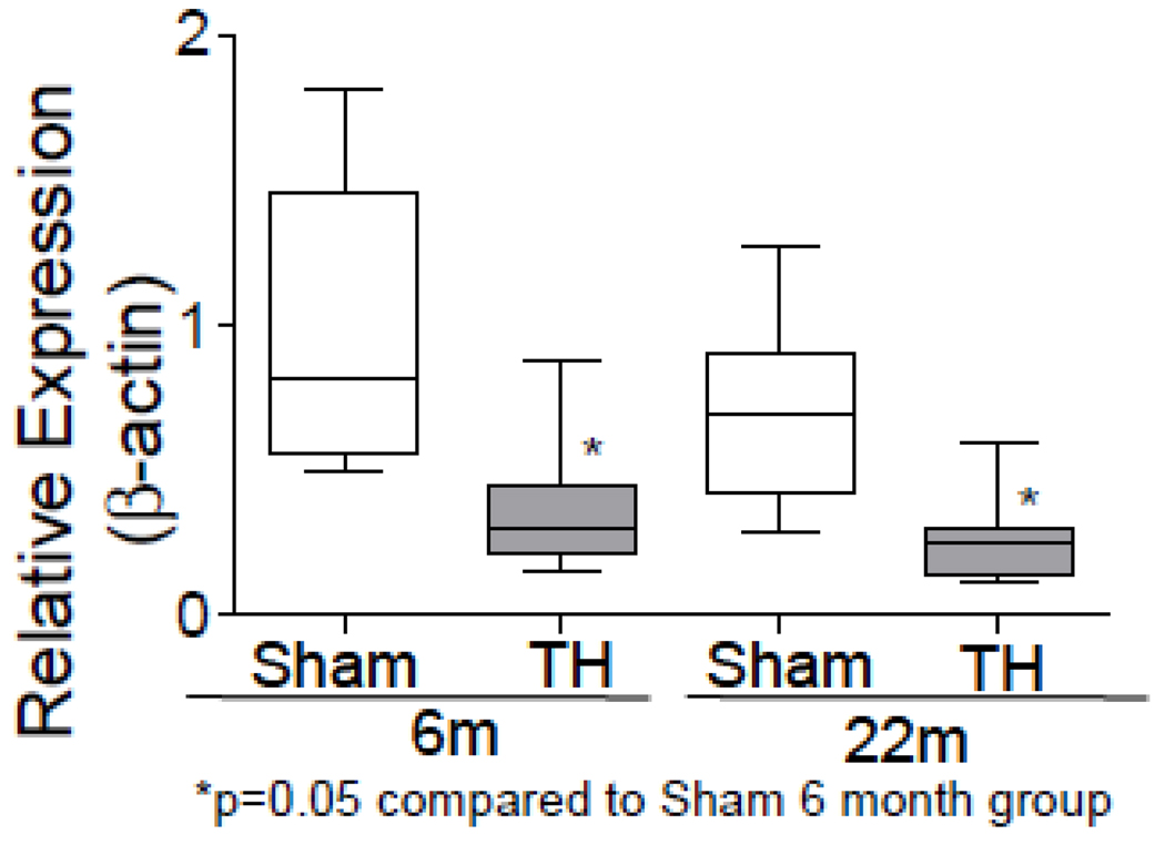 Fig.2