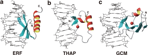 FIGURE 5.