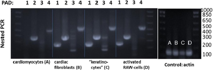 Figure 5