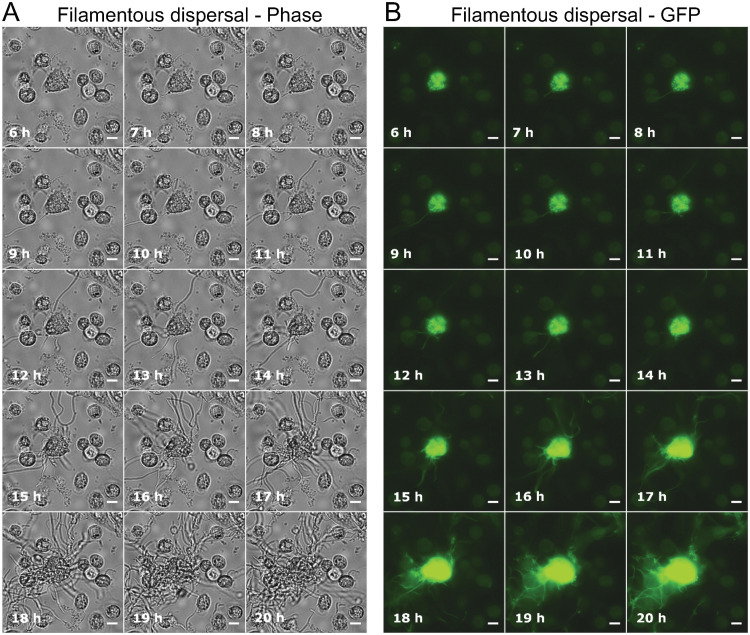 FIG 4