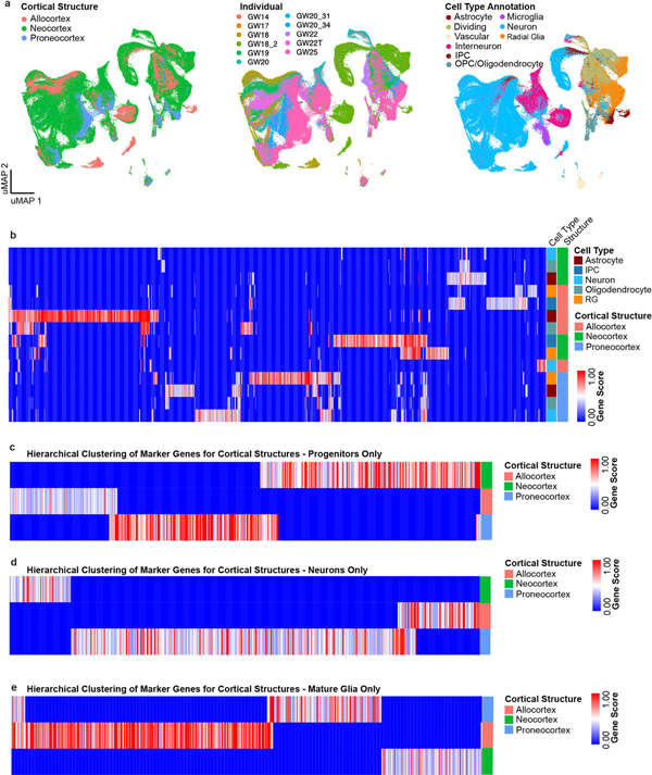 Extended Data Figure 2.