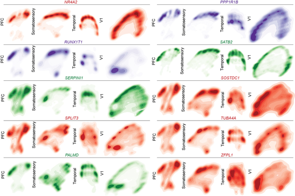 Extended Data Figure 13.