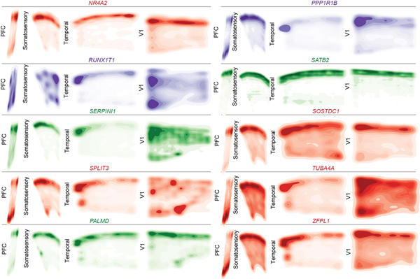 Extended Data Figure 9.