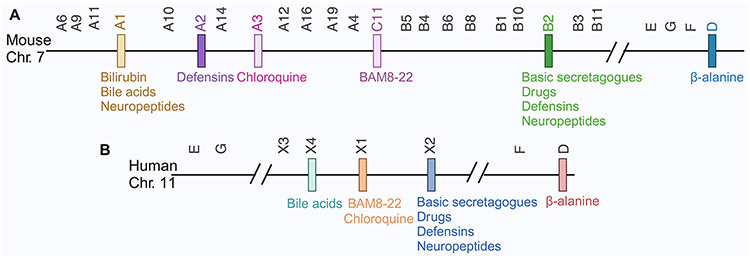 Figure 1: