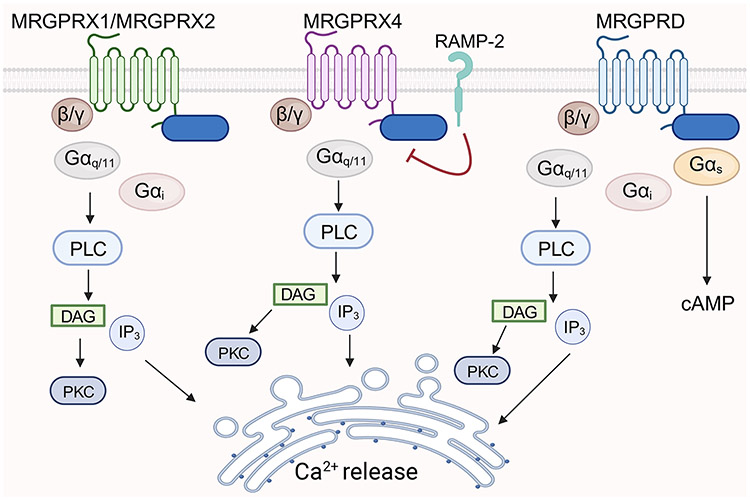 Figure 3: