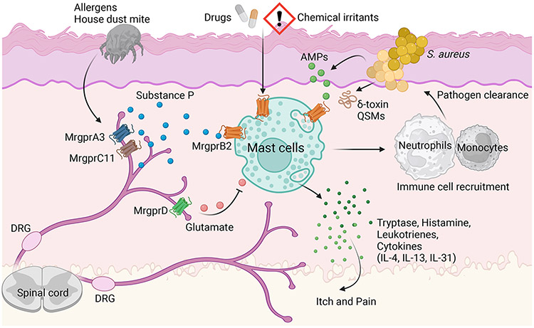 Figure 2: