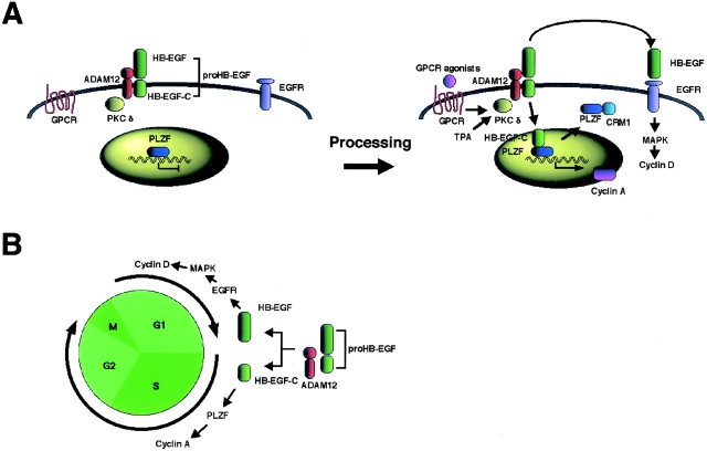 Figure 10.