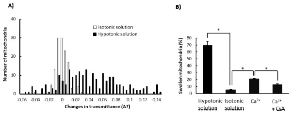 Fig. 9