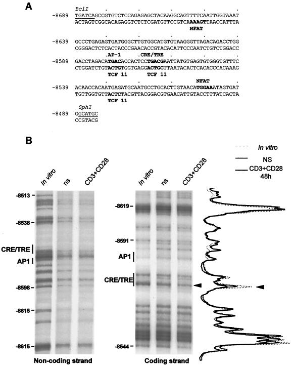 FIG. 4