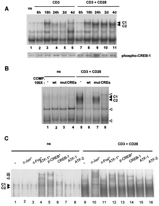 FIG. 6